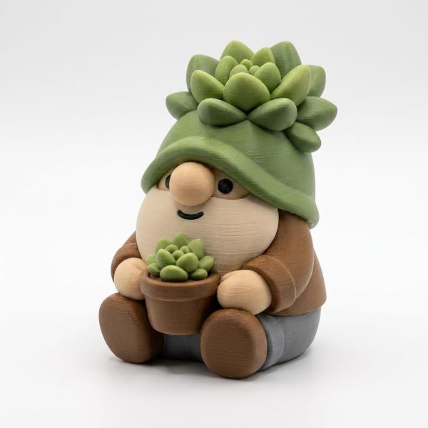 Gnome plante succulente décoratif