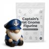 Ensemble de figurines de gnomes fantaisistes