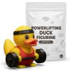 Ensemble de figurines canards sportifs