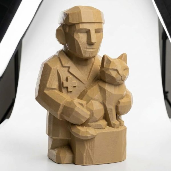 Veterinarian Figurine - 3D printed collectible