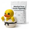 Variety Duck Figurine Bundle