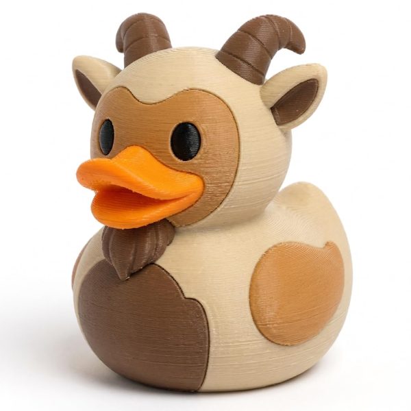 Canard chèvre naine