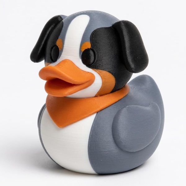 Canard berger australien