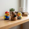 Trio de figurines de canards rigolos