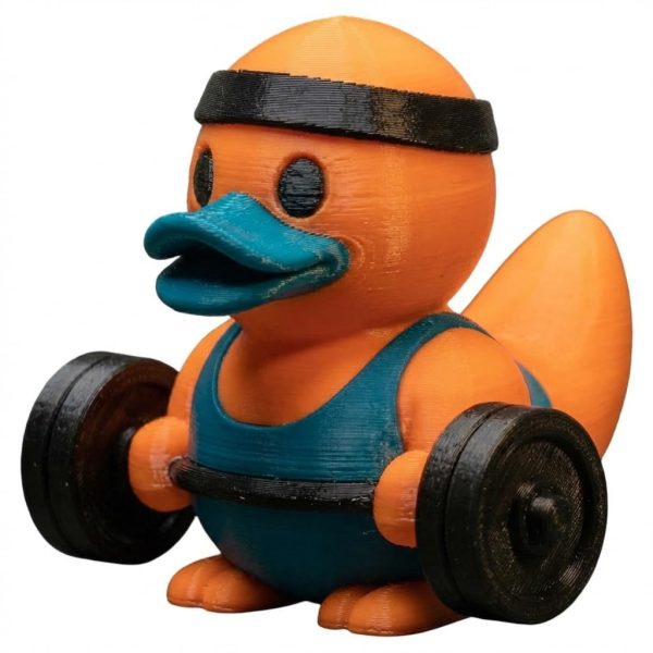 Canard de collection lève-poids