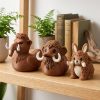 Ensemble de collection canard mammouth