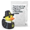 Ensemble de figurines de canards gothiques