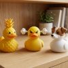 Ensemble de figurines de canards tropicaux