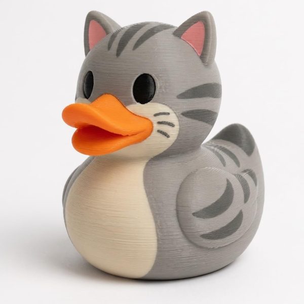 Canard chat tigré