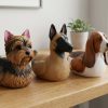Coffret de figurines de canards chiens