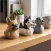 Ensemble de canards chiens de collection