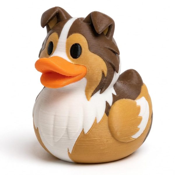 Canard berger des Shetland