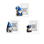 Gnome Variety Collectible Figurine Bundle of 3 - Wizard, Quebecois, Captain's Hat - Whimsical & Charming Adult Desk Decor - 3D Printed in Canada