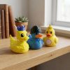 Ensemble de figurines Canard rigolo