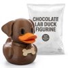 Canards élémentaire d'air, cupcake et labrador chocolat