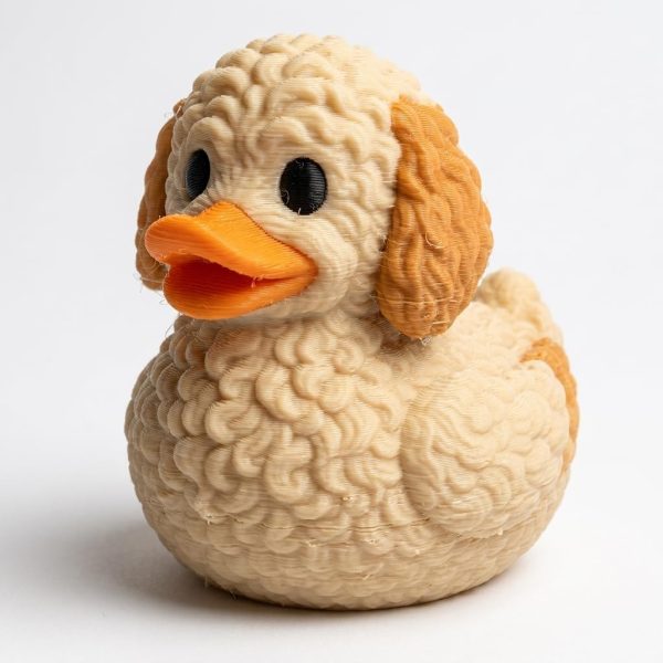 Canard labradoodle