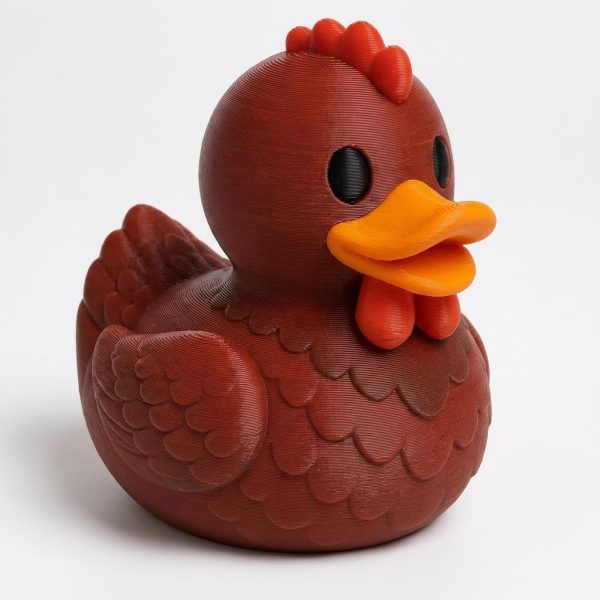 Canard Rhode Island Red