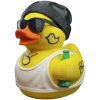 Collection de figurines de canards uniques