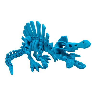 Articulated Spino-Saurus Skeleton Figurine for Adults – Poseable Dinosaur Fossil Skull, Sail and Moving Tail – Halloween Home Office Desk Decor Gift – 3D Printed in Canada — 3D Printed Dinosaurs & Prehistoric by 3DCentral